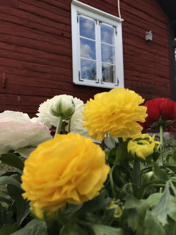 Visingsoe Pensionat Visingsö Exterior foto
